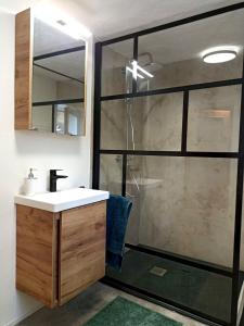 a bathroom with a sink and a glass shower at Ferienhaus Eden Frankenblick in Mengersgereuth-Hämmern