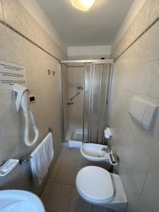 y baño con ducha, aseo y lavamanos. en B&B Meublè Giustina, en Auronzo di Cadore