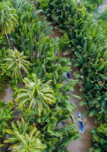 eine Luftansicht auf einen Dschungel mit Palmen und einem Boot in der Unterkunft Hide Away Bungalows in Ben Tre City in Ấp Phú Hòa (3)