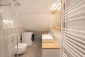 a small bathroom with a toilet and a sink at Apartments BB in Bohinj +37 photos