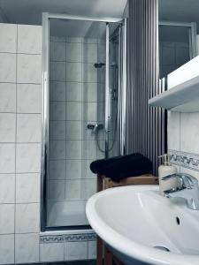 uma casa de banho com um lavatório e um chuveiro em FeWo Burgnest em Bad Bentheim