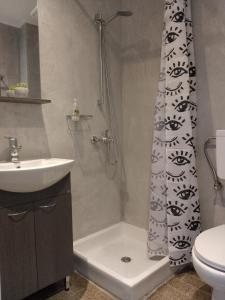 bagno con doccia, lavandino e servizi igienici di Dimitris Apartments Messongi a Mesongi