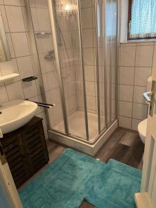 a bathroom with a shower and a sink at Urige idyllische Hütte mit Sauna in Grainet