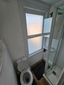 a bathroom with a toilet and a window at Tiny Studio, 30 min to St. Pancras, North London in London
