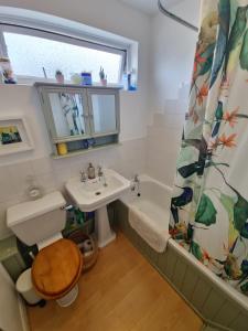布里德波特的住宿－58 Magdalen Lane，一间带水槽、卫生间和淋浴的浴室
