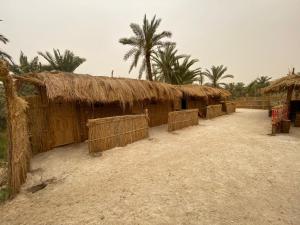 a group of huts with palm trees in the background at Paloma Camp in Siwa