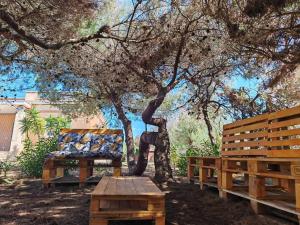un banco sentado bajo un árbol en un parque en Casa Vacanze La Pineta del Mare, en Torre Ovo