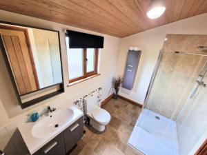 ein Bad mit einer Dusche, einem WC und einem Waschbecken in der Unterkunft Ochil 8 with Private Hot Tub - Fife - Loch Leven - Lomond Hills in Kelty