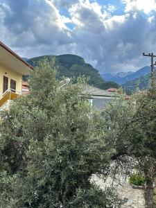 ein Baum vor einem Haus mit Bergen im Hintergrund in der Unterkunft Nancy & Vaggelis Holiday Studios in Litochoro