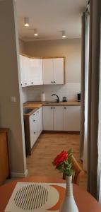 Kjøkken eller kjøkkenkrok på Apartamenty Po Kominiarzach I