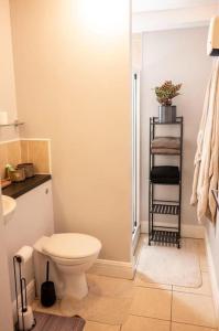 a white bathroom with a toilet and a sink at Modern apartment in the Heart of Sligo Town in Sligo