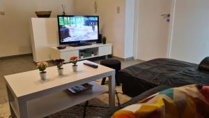 Et tv og/eller underholdning på spacieux appartement 130 M2