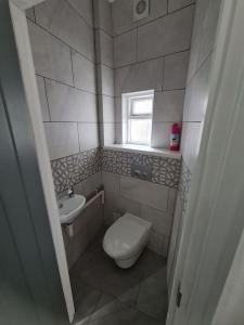 Baño pequeño con aseo y lavamanos en Newly Renovated Coastal Property, en Llanelli