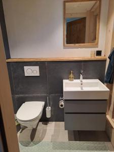 A bathroom at Ferienwohnung in Emmentaler Bauernhaus, Vogelsang