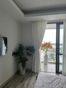 Zimmer mit einem großen Fenster mit zwei Topfpflanzen in der Unterkunft Studio Sofia Center in Ấp Rạch Mẹo
