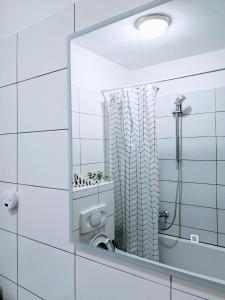 een spiegel in een badkamer met een toilet en een douche bij DoMa-Lu apartment with free parking in Velika Mlaka