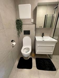 a small bathroom with a toilet and a sink at Modern apartment ONLY 5 minutes from City Centre in Bergen