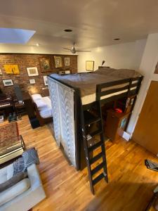 a loft bed in a room with a living room at Carriage House Williamsburg Brooklyn NYC in Brooklyn