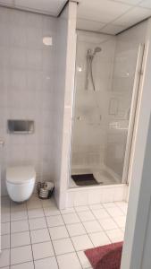 a white bathroom with a shower and a toilet at Appartement IJsselmeer Makkum strand in Makkum
