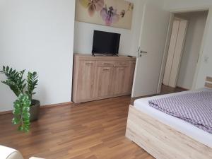 1 dormitorio con 1 cama y TV en un armario en Familien-Ferienwohnung Fiwa FeWo-4, en Pirmasens