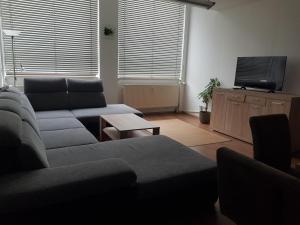 sala de estar con sofá y TV en Familien-Ferienwohnung Fiwa FeWo-4, en Pirmasens
