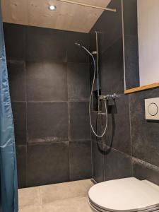 A bathroom at Ferienwohnung in Emmentaler Bauernhaus, Vogelsang