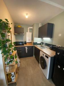 uma cozinha com um lavatório e uma máquina de lavar roupa em Appartement lumineux et calme em Bordeaux