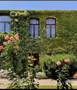Zahrada ubytování Guesthouse Edena