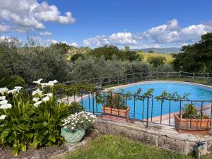 マンチャーノにあるPoggio Baroni Agriturismoの塀の植物のスイミングプール