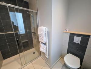 a bathroom with a shower and a toilet at Logis Hôtel Restaurant SPA le Beau Site in Chambon-sur-Lac +56 photos