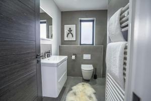 łazienka z białą umywalką i toaletą w obiekcie Cadnant Lodge w mieście Llangefni