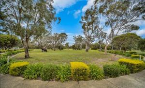 a park with trees and grass and yellow flowers at Green heavan in Greenvale