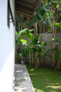 a garden with green plants and a building at VIVO Brand New Beach Studio Hot Water Fast Internet in Ahangama