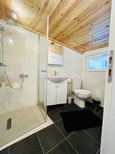 een badkamer met een douche, een wastafel en een toilet bij Balloon Boutique House, City Centre in Plovdiv