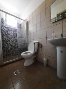 een badkamer met een toilet, een douche en een wastafel bij Αngelika studios in Argostoli