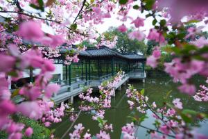 杭州西湖国宾馆外面的花园