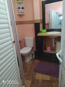 a bathroom with a toilet and a sink and a mirror at Riad ward in Agadir
