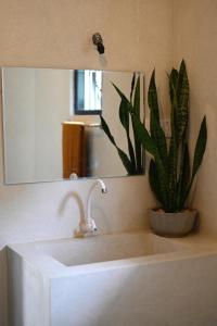 アハンガマにあるVIVO Brand New Beach Studio Hot Water Fast Internetのバスルーム(鏡の横に植物の流し台付)