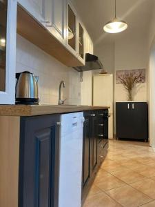 una cocina con fregadero y lavavajillas en Apartment Attila, en Zadar