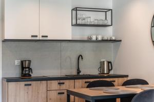 Kuchyňa alebo kuchynka v ubytovaní Nadmorski Loft GREEN PORT SPA - 750 m od plaży