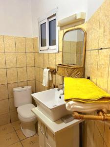 a bathroom with a sink and a toilet and a mirror at Akiba Guests Houses in Kribi