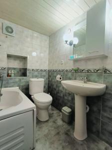 ein Badezimmer mit einem WC, einem Waschbecken und einer Badewanne in der Unterkunft Guest House Lili in Batumi