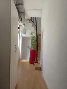 un pasillo con una planta en una olla roja en Apartamento Chamberí, en Madrid