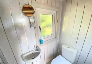 a bathroom with a toilet and a sink and a window at Blair Tiny House with Private Hot Tub - Fife - Loch Leven - Lomond Hills in Dunfermline +1 photo