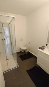 Un baño con inodoro y ducha de cristal. en Charmant appartement cosy et paisible proche Paris - métro à 2min, en Romainville 34 fotos más