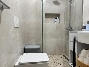 y baño con ducha, aseo y lavamanos. en Angel's Luxury heaven Tirana, en Tirana