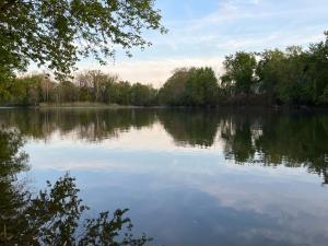 Lakeside Tiny Cozy Retreat في Ulster: اطلالة على بحيرة فيها اشجار في الخلفية