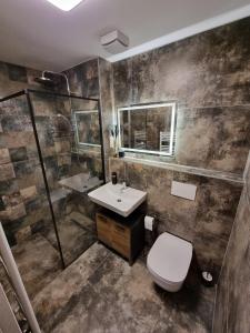 een badkamer met een toilet en een wastafel bij Apartman - Centrum in Bratislava