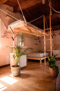 una camera con letto a soppalco e due piante in vaso di Social Garden - Sharing Room a Calci