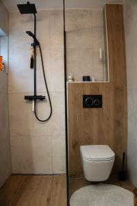 La salle de bains est pourvue d'une douche et de toilettes. dans l'établissement Golden Fjord-View, à Bergen
